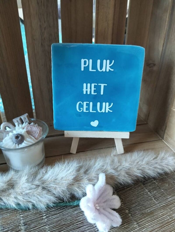 Pluk het geluk