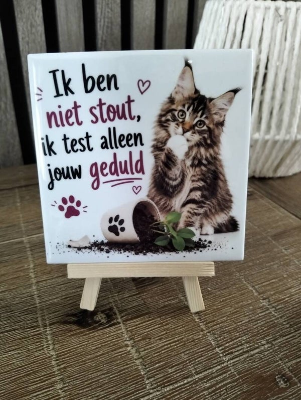 Ik ben niet stout