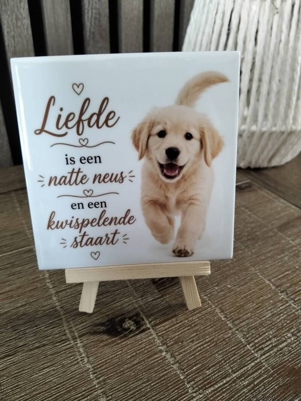 Liefde, is een natte neus en een kwispelende staart