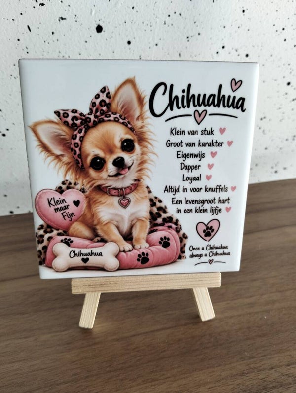 chihuahua