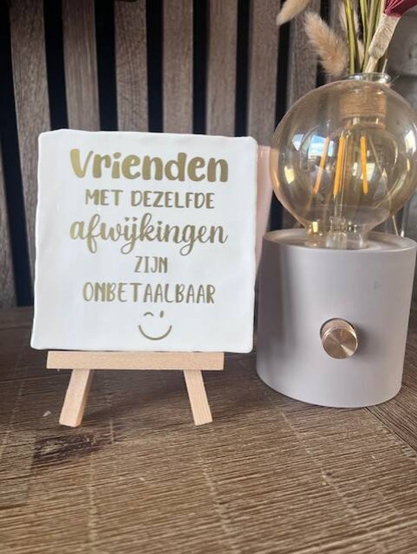 Tegeltje "Vrienden met dezelfde afwijkingen"