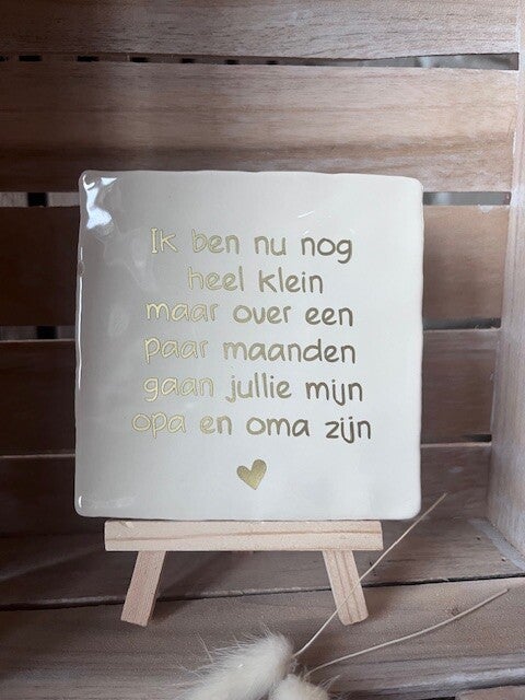 Tegel "Over een paar maanden gaan jullie opa en oma zijn"