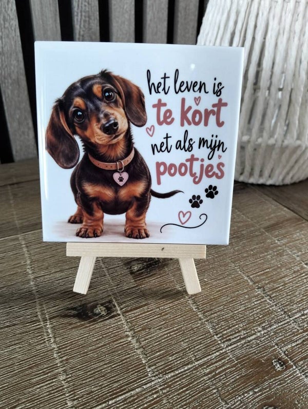 Het leven is te kort net als mijn pootjes