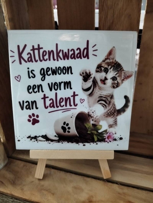 Kattenkwaad is gewoon een vorm van talent
