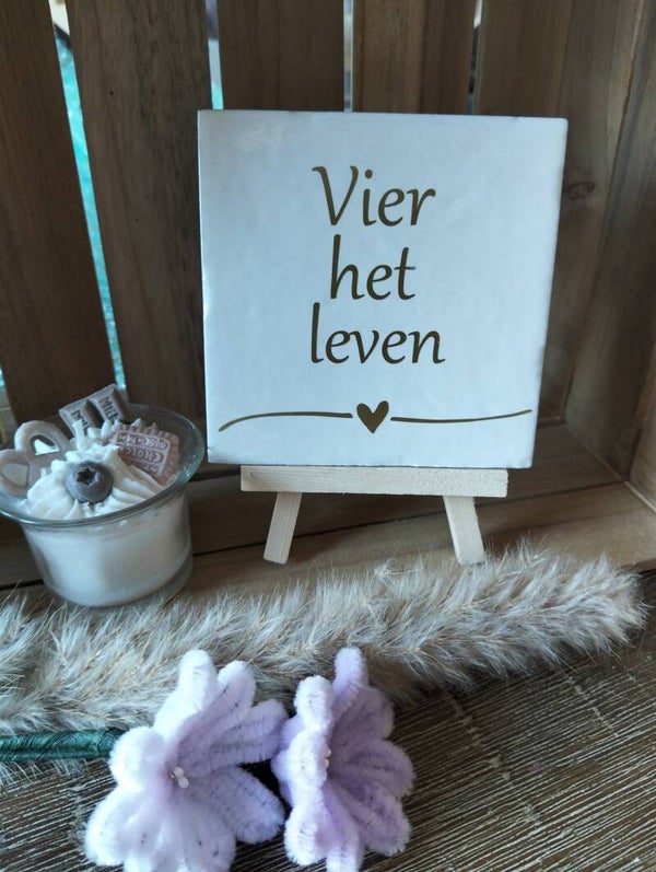 Vier het leven