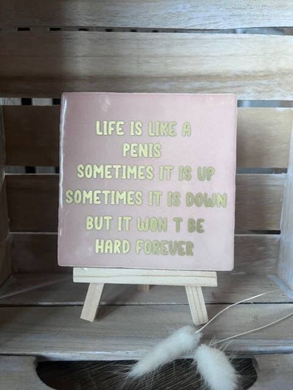 Tegel "Life is like a penis"