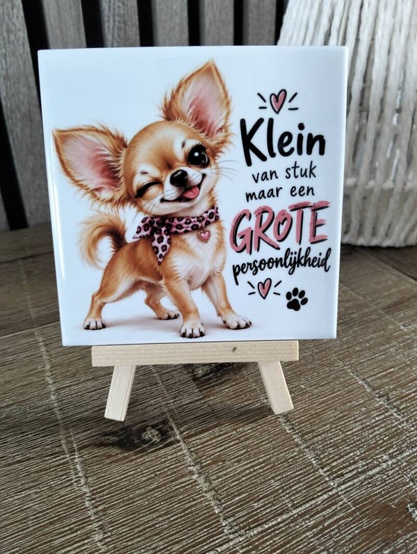 Klein van stuk maar een grote persoonlijkheid