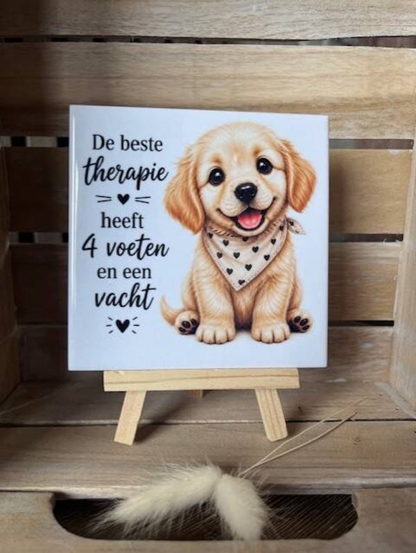 De beste therapie hond