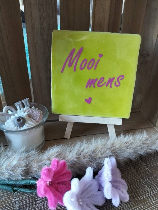 Mooi mens