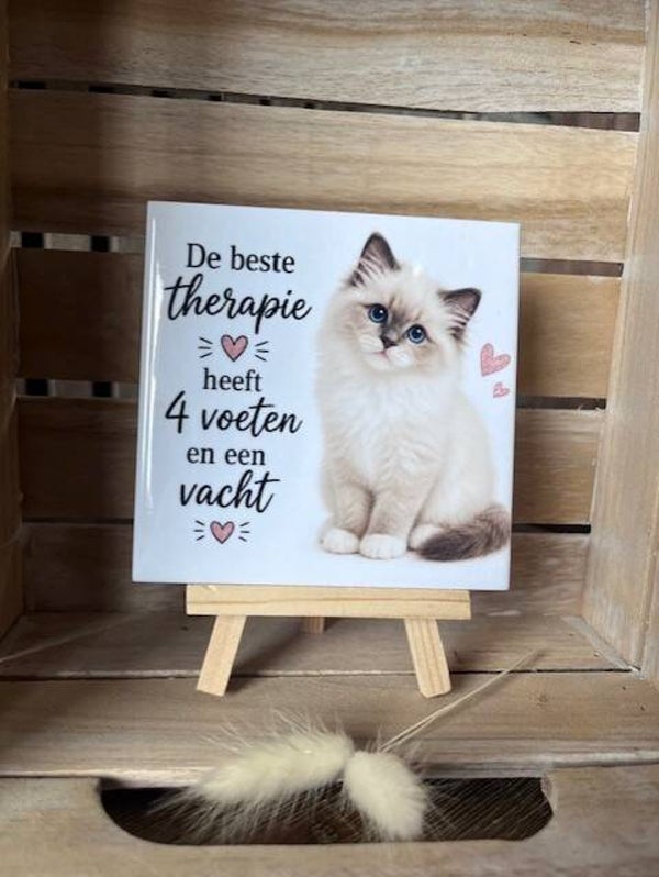 De beste therapie Poes