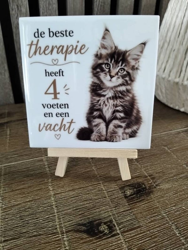 de beste therapie (maine coon)