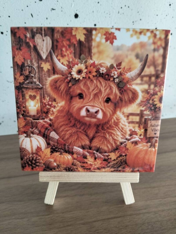 schattig hooglandertje