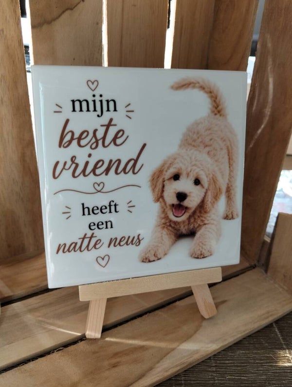 Mijn beste vriend