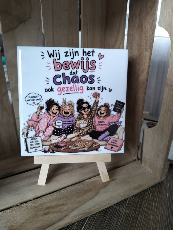 Wij zijn het bewijs dat chaos ook gezellig kan zijn
