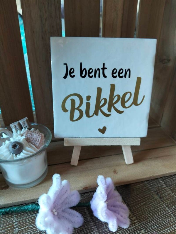 Je bent een Bikkel