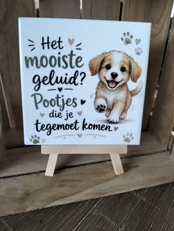 Het mooiste geluid? pootjes die je tegemoet komen