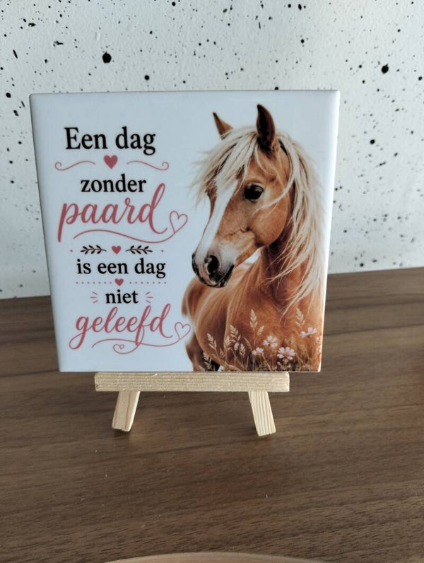 Een dag zonder paard, is een dag niet geleefd