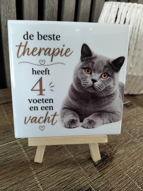De beste therapie (britse kort haar)