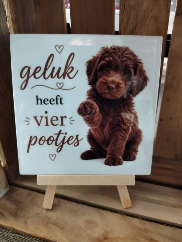 Geluk heeft 4 pootjes
