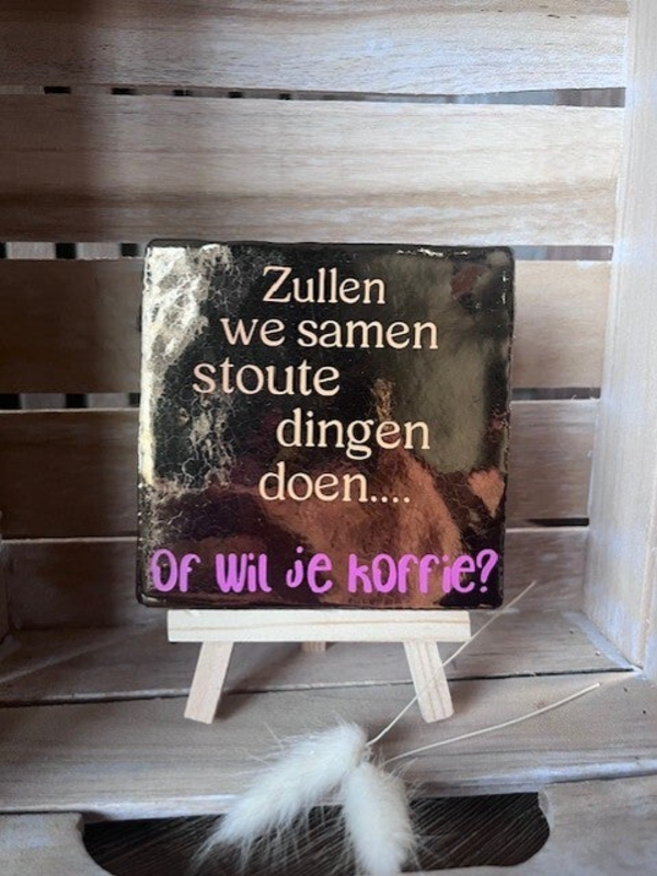 Tegel "Zullen we samen stoute dingen doen?"