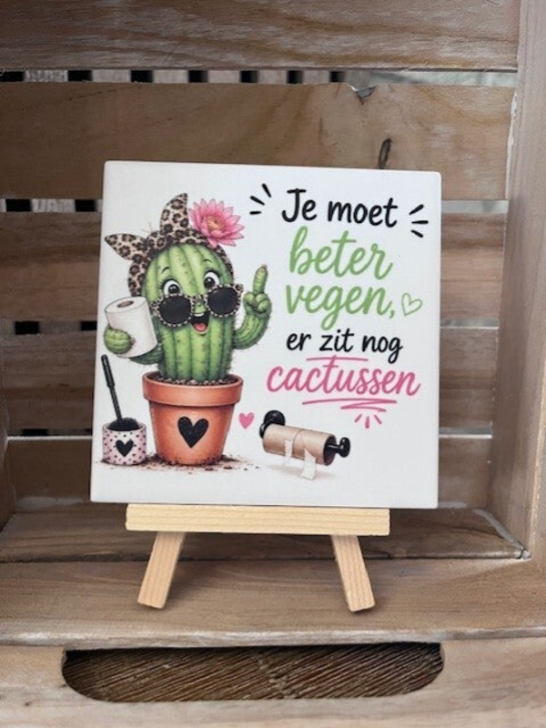 Tegel "Je moet beter vegen want er zit nog cactussen"