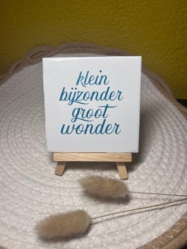 Tegeltje "Klein groot wonder"