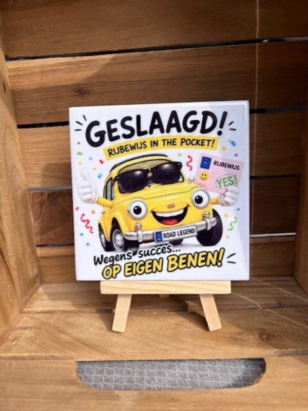 Tegel "Rijbewijs in the pocket"