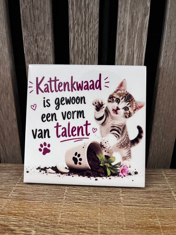 Tegel ‘Kattenkwaad is gewoon een vorm van talent’