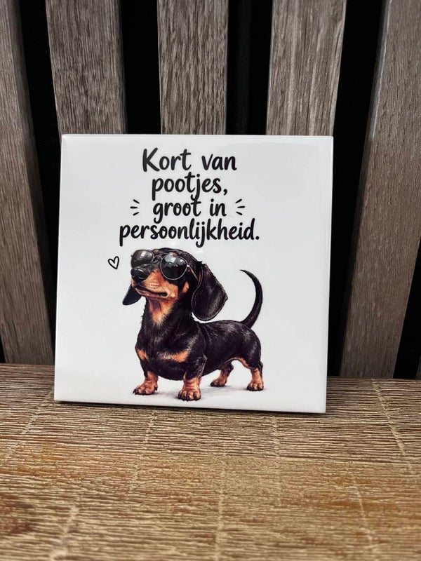 Tegel ‘Kort van pootjes, groot in persoonlijkheid’