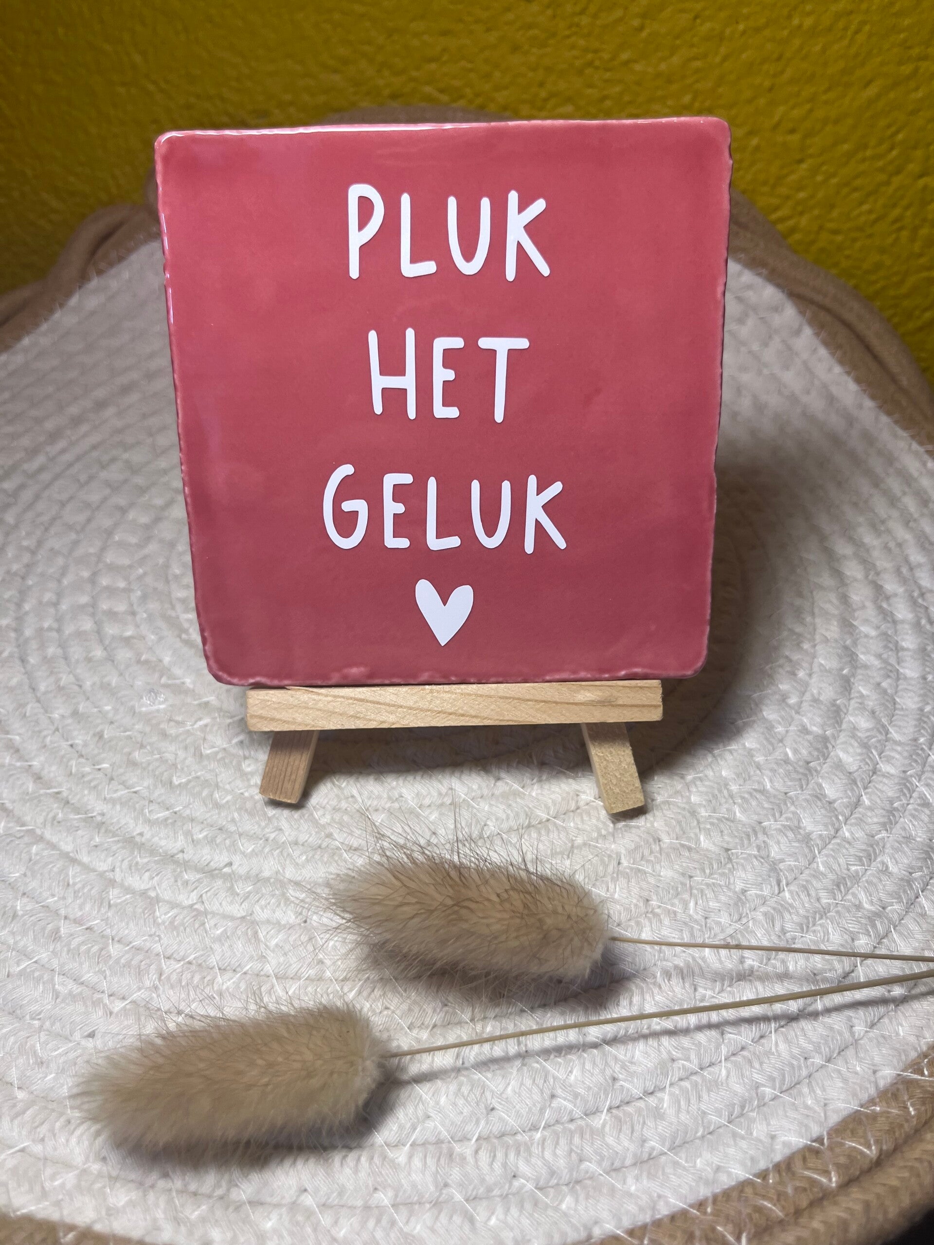 Tegeltje “Pluk het geluk”