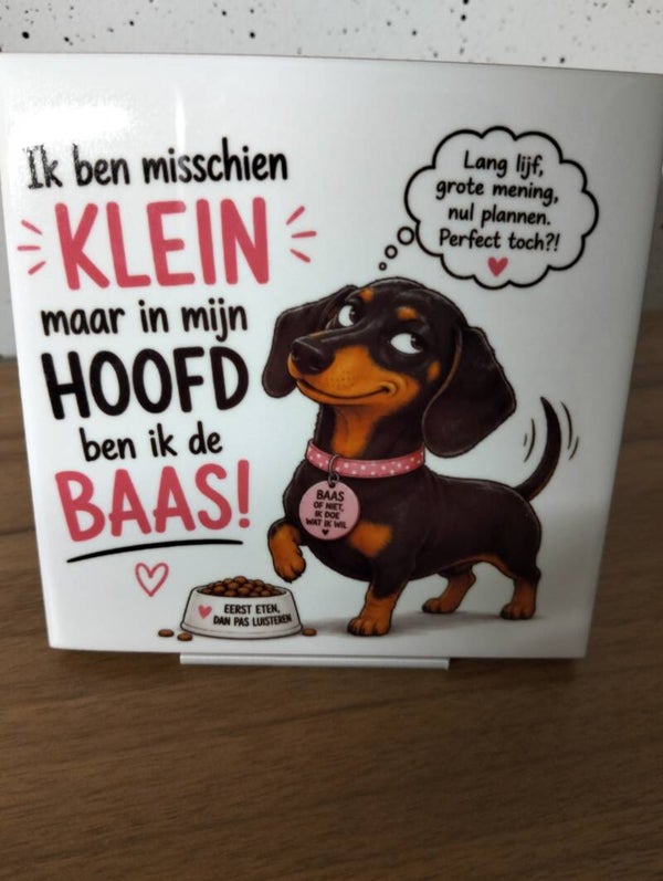Ik ben misschien klein maar in mijn hoofd de baas