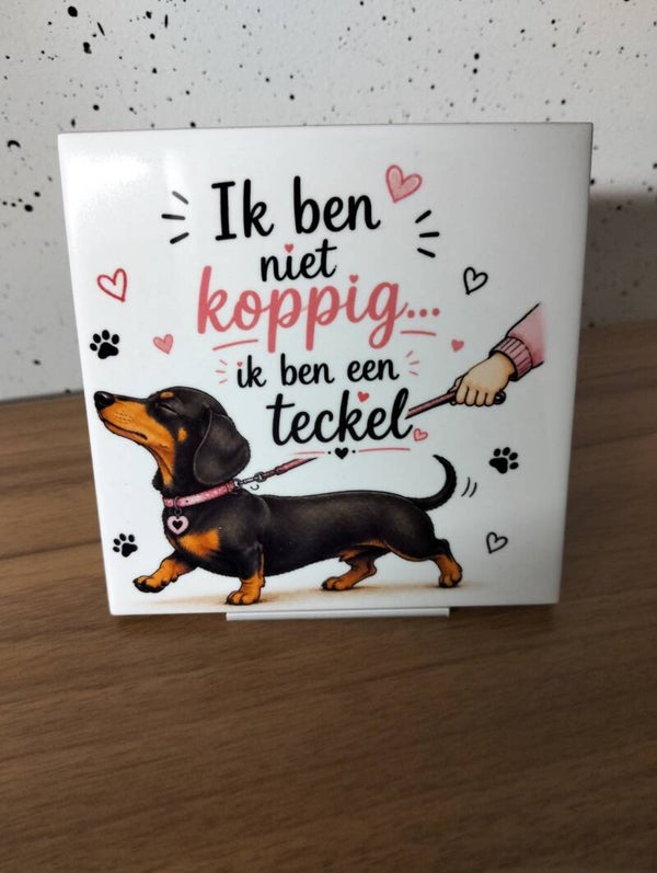 Ik ben niet koppig, ik ben een teckel