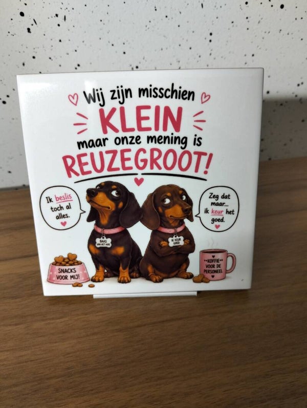 Wij zijn misschien klein