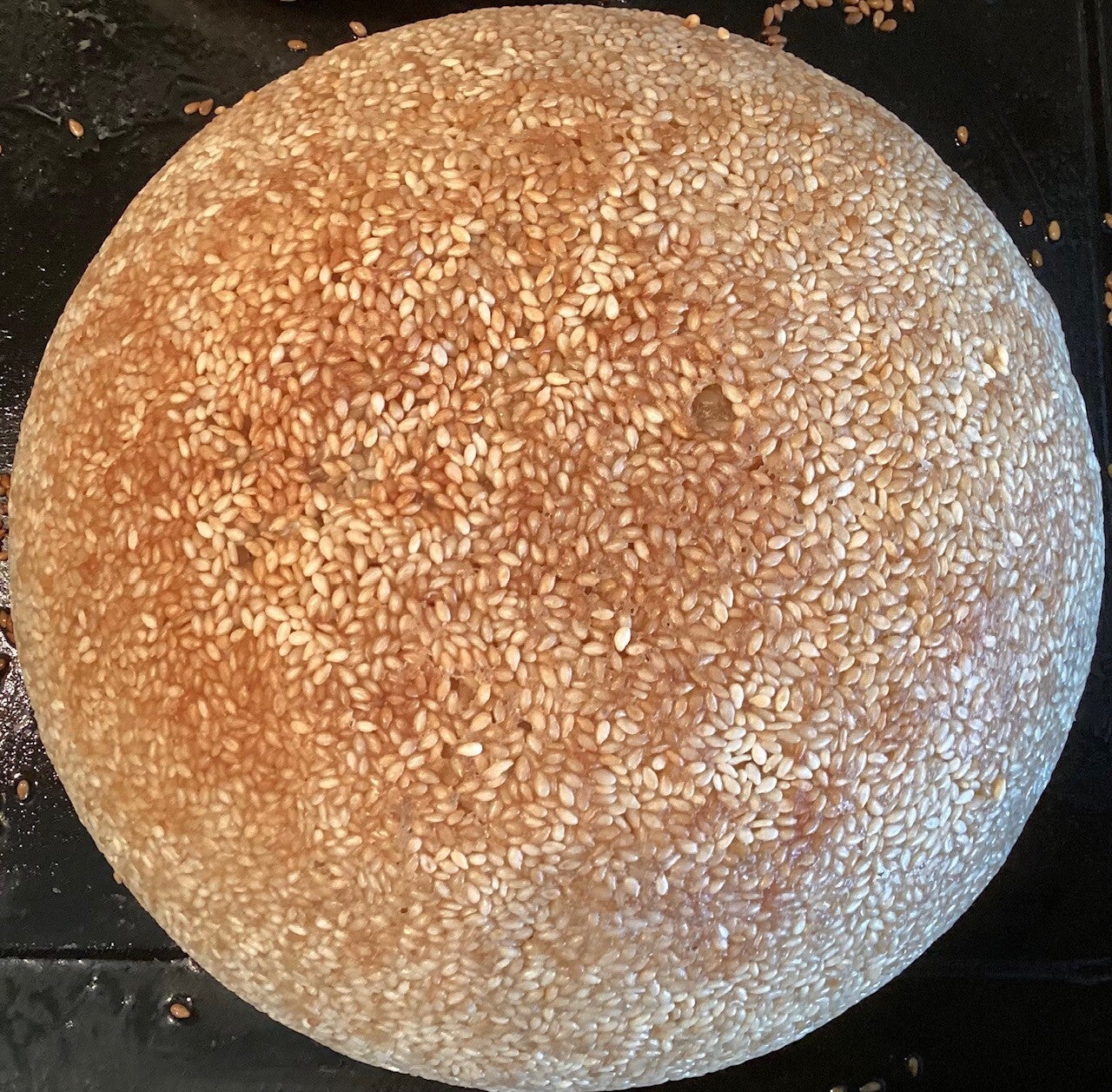 Seeded crust Sourdough Yeasted Bread