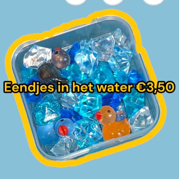 Eendjes set