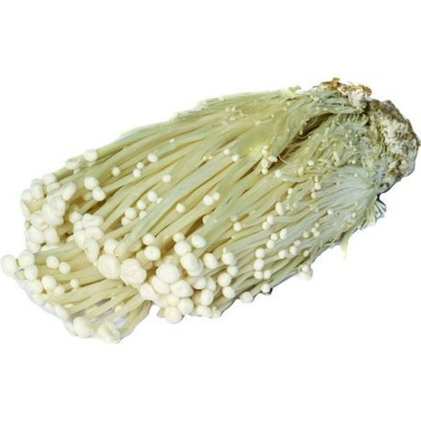 MAO XIONG, Enoki Paddenstoel, 100 G