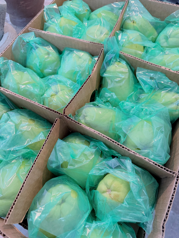 Chayote ผักเเม้ว 1 kg