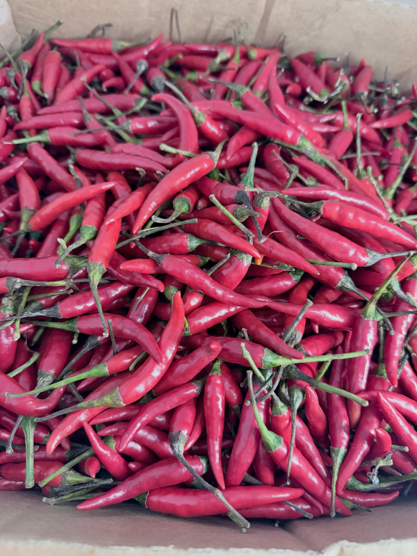 Rawit Chili Red พริกแดง 500g