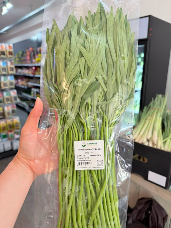 Chinese Morning glory 200g ผักบุ้งจีน