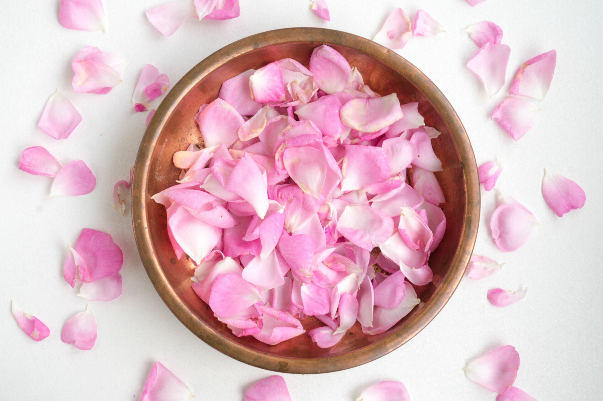 Apéro Botanicals La Vie en Rose