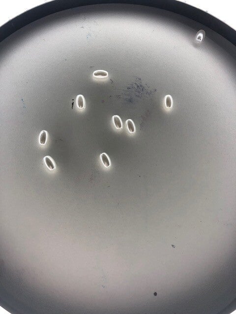 ovale zoetwater parels