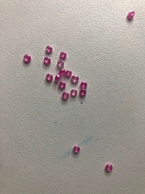 roze rocailles
