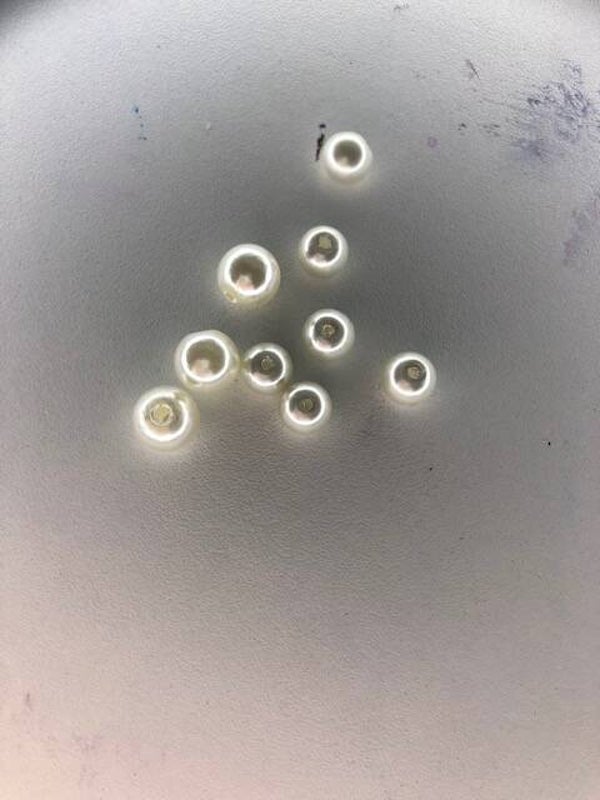 witte zoetwater parels