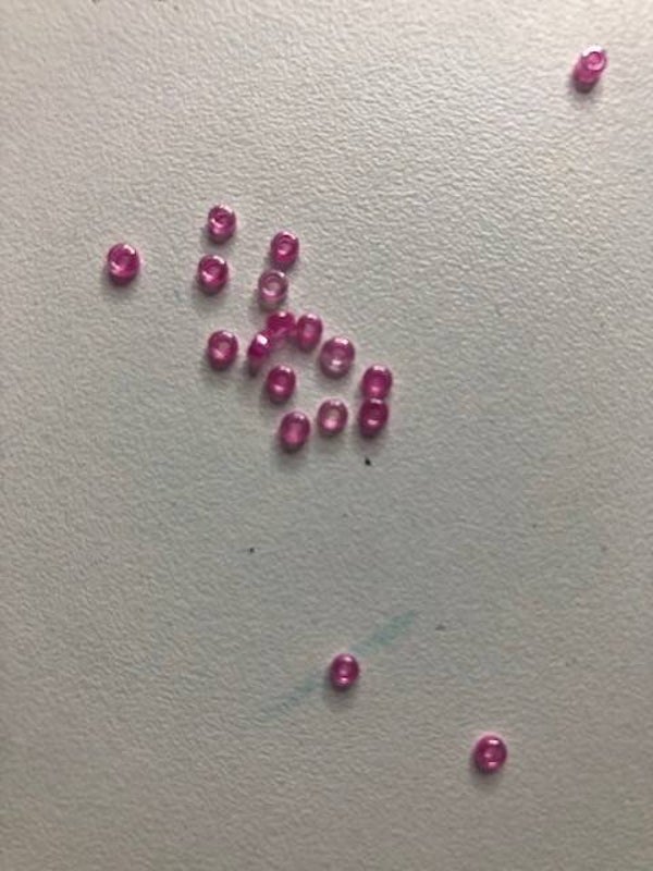 roze rocailles