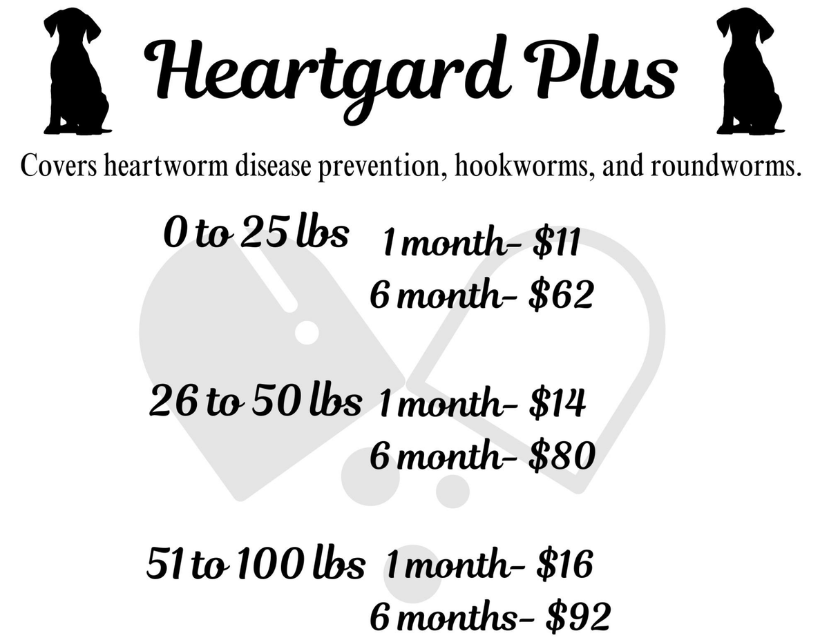 Flea Tick Heartworm Medications PetPawsSpayandNeuterClinic Flea tick heartworm medications petpawsspayandneuterclinic