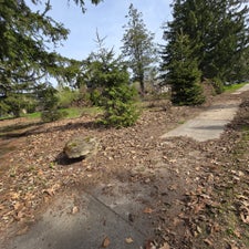 20240427_102436-standard.jpg