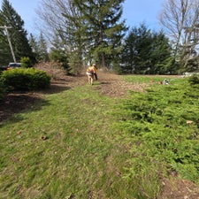 20240427_102643-standard.jpg