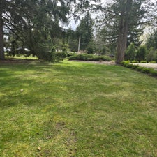 20240427_141008-standard.jpg