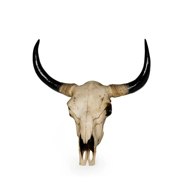 Extra Large Bison Skull Wall Head