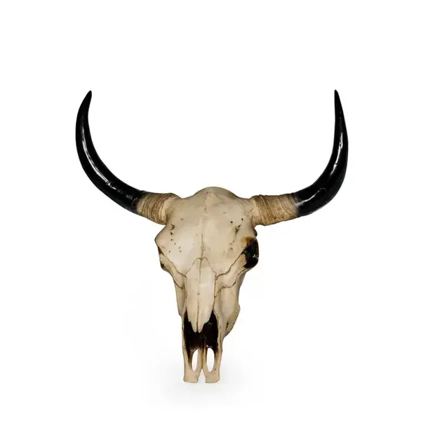 Extra Large Bison Skull Wall Head
